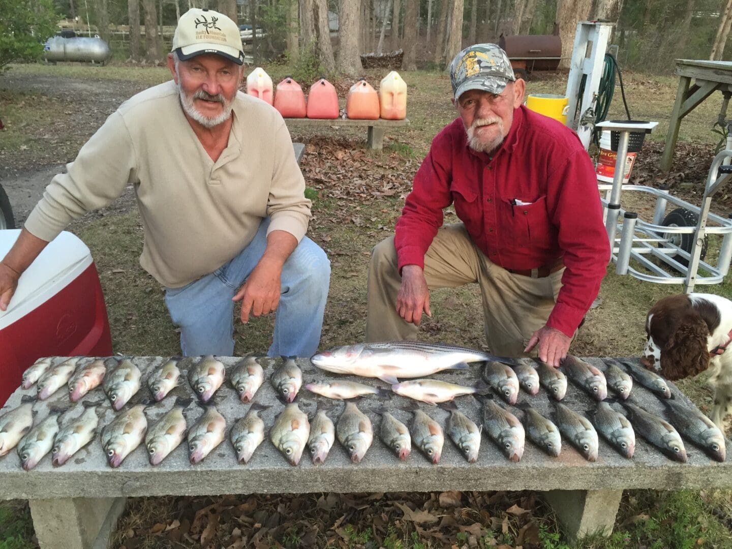 Two men standing next to a table full of fish.